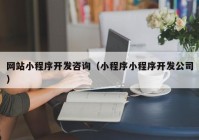 网站小程序开发咨询（小程序小程序开发公司）