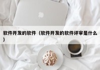 软件开发的软件（软件开发的软件评审是什么）