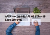 哈尔滨seo优化排名公司（哈尔滨seo排名优化公司价格）