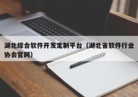 湖北综合软件开发定制平台（湖北省软件行业协会官网）