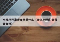 小程序开发者文档是什么（微信小程序 开发者文档）