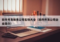 软件开发销售公司名称大全（软件开发公司企业简介）