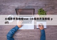 小程序开发教程vue（小程序开发教程 pdf）