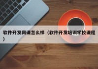 软件开发网课怎么样（软件开发培训学校课程）