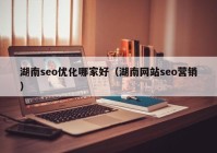 湖南seo优化哪家好（湖南网站seo营销）