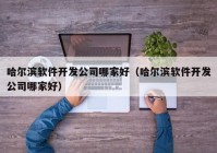 哈尔滨软件开发公司哪家好（哈尔滨软件开发公司哪家好）