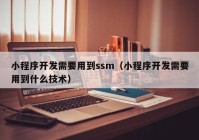 小程序开发需要用到ssm（小程序开发需要用到什么技术）