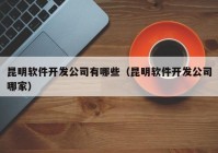 昆明软件开发公司有哪些（昆明软件开发公司哪家）