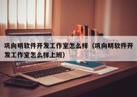 巩向明软件开发工作室怎么样（巩向明软件开发工作室怎么样上班）