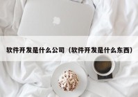 软件开发是什么公司（软件开发是什么东西）