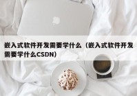 嵌入式软件开发需要学什么（嵌入式软件开发需要学什么CSDN）