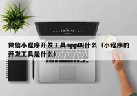 微信小程序开发工具app叫什么（小程序的开发工具是什么）