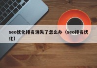 seo优化排名消失了怎么办（seo排名优化）