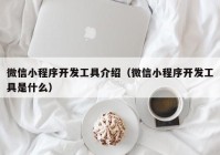 微信小程序开发工具介绍（微信小程序开发工具是什么）