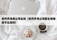 软件开发类公司名称（软件开发公司取名用哪些字比较好）