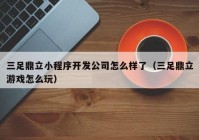 三足鼎立小程序开发公司怎么样了（三足鼎立游戏怎么玩）