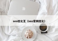 seo优化王（seo官网优化）