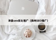 沛县seo优化推广（扬州SEO推广）