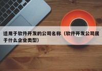 适用于软件开发的公司名称（软件开发公司属于什么企业类型）