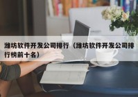 潍坊软件开发公司排行（潍坊软件开发公司排行榜前十名）