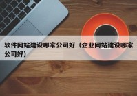 软件网站建设哪家公司好（企业网站建设哪家公司好）