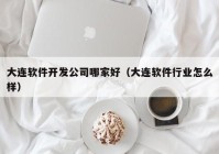 大连软件开发公司哪家好（大连软件行业怎么样）