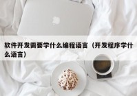 软件开发需要学什么编程语言（开发程序学什么语言）