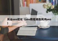 岚山seo优化（seo教程湖南岚鸿seo）