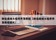 微信商城小程序开发教程（微信商城小程序开发教程图片）